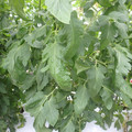 159904_20171108105951_01.JPG