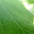 210001_20180131114351_01.JPG