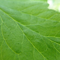 210001_20180213103005_01.JPG