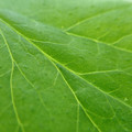 210001_20180213103008_01.JPG