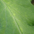 340002_20180604162943_01.JPG