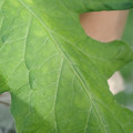 340002_20180604162952_01.JPG