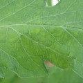 340002_20180604163130_01.JPG