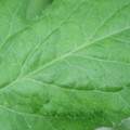 340002_20180608100521_01.JPG