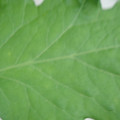 340002_20180608100651_01.JPG