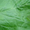340002_20180608100710_01.JPG