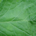 340002_20180608100712_01.JPG