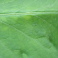 340002_20180608100721_01.JPG