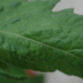 340002_20180608100735_01.JPG