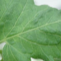 340002_20180608100805_01.JPG
