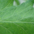 340002_20180608100813_01.JPG