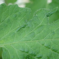 340002_20180608100839_01.JPG