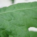 340002_20180608100946_01.JPG