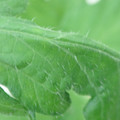 340002_20180608101009_01.JPG