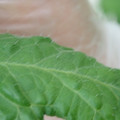 340002_20180608101032_01.JPG