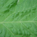 340002_20180608101203_01.JPG