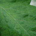 340002_20180608101233_01.JPG