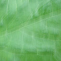340002_20180608101243_01.JPG
