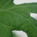 340002_20180608101427_01.JPG