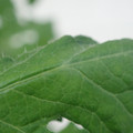 340002_20180608101428_01.JPG