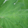 340002_20180608101442_01.JPG