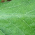340002_20180608101450_01.JPG