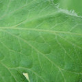 340002_20180608101511_01.JPG