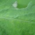 340002_20180608101541_01.JPG