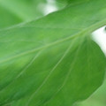 340002_20180608101652_01.JPG