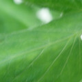 340002_20180608101653_01.JPG