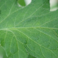 340002_20180608101732_01.JPG