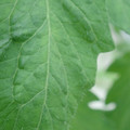 340002_20180608101815_01.JPG