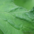 340002_20180608101832_01.JPG
