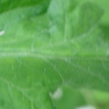 340002_20180608101838_01.JPG