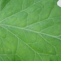 340002_20180608101902_01.JPG