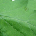 340002_20180608101909_01.JPG