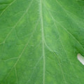 340002_20180608101927_01.JPG