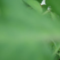 340002_20180608101933_01.JPG