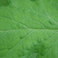 340002_20180608102005_01.JPG