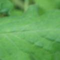 340002_20180608102021_01.JPG