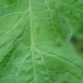 340002_20180608102038_01.JPG