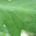 340002_20180608102048_01.JPG