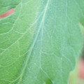 340003_20181122162132_01.JPG