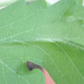 340003_20181122162205_01.JPG