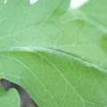 340003_20181122162206_01.JPG