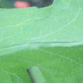 340003_20181122162333_01.JPG