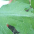 340003_20181122162346_01.JPG