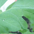 340003_20181122162348_01.JPG