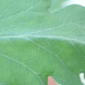 340003_20181122162358_01.JPG