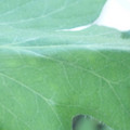 340003_20181122162417_01.JPG
